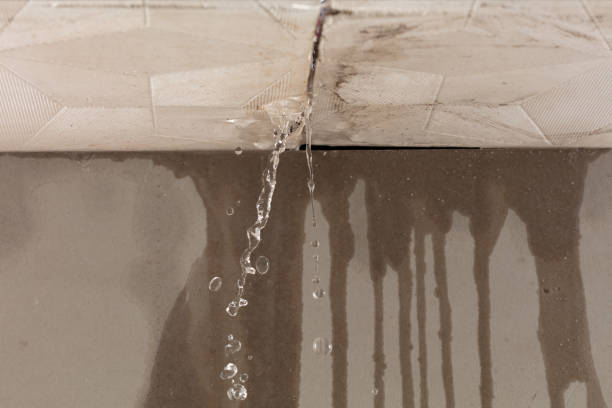 Professional Water Damage Restoration technician working in Shelby, MI